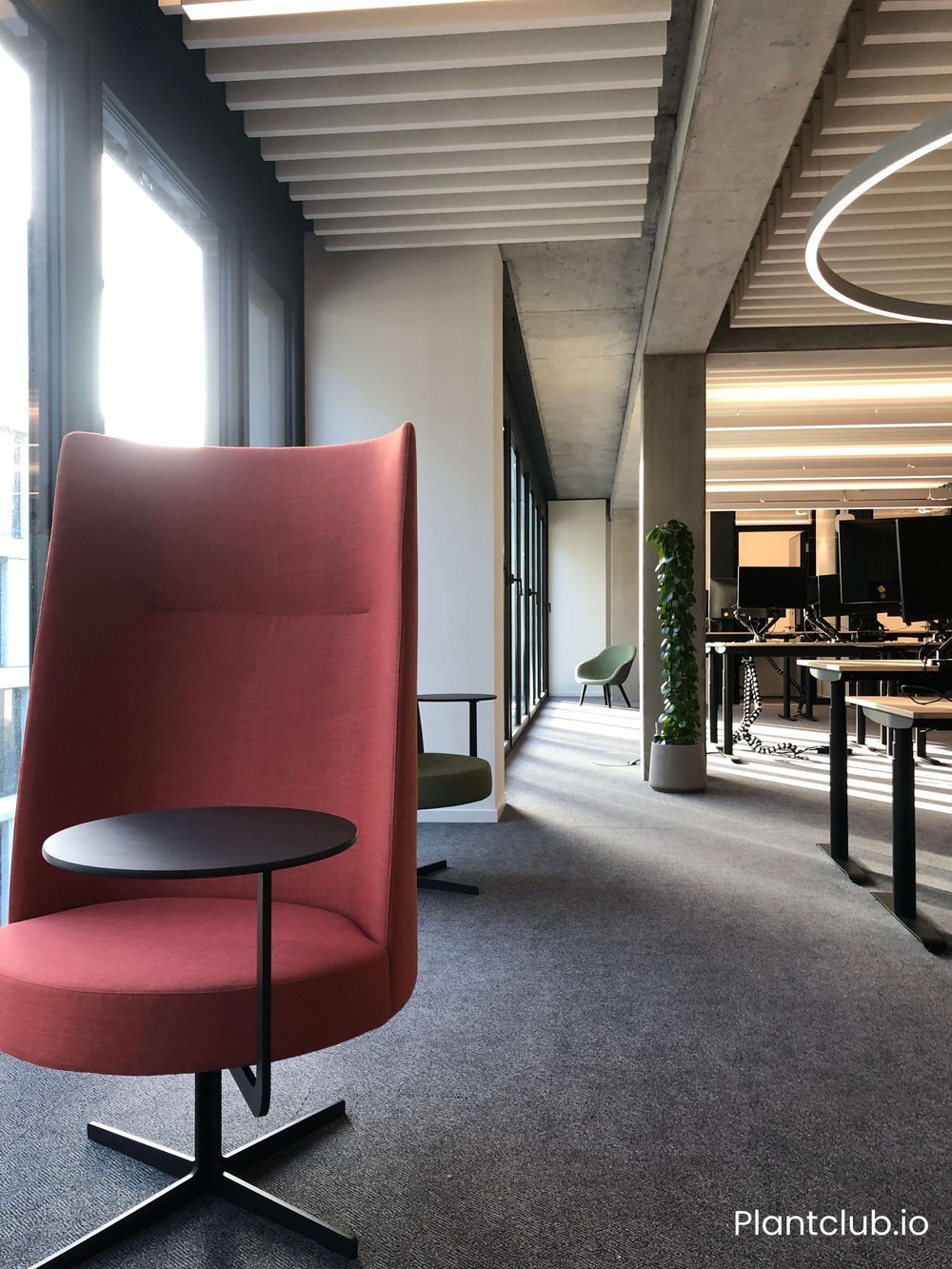 Lebendiges Designkonzept in den Räumen von N26 Berlin.