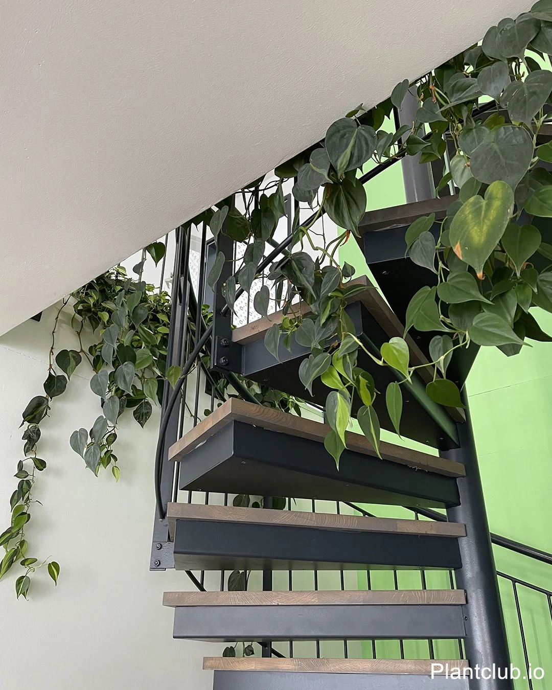 Hängende Grünpflanzen an einer offenen Treppe in einem hellen Büro, die vertikale Flächen natürlich begrünen