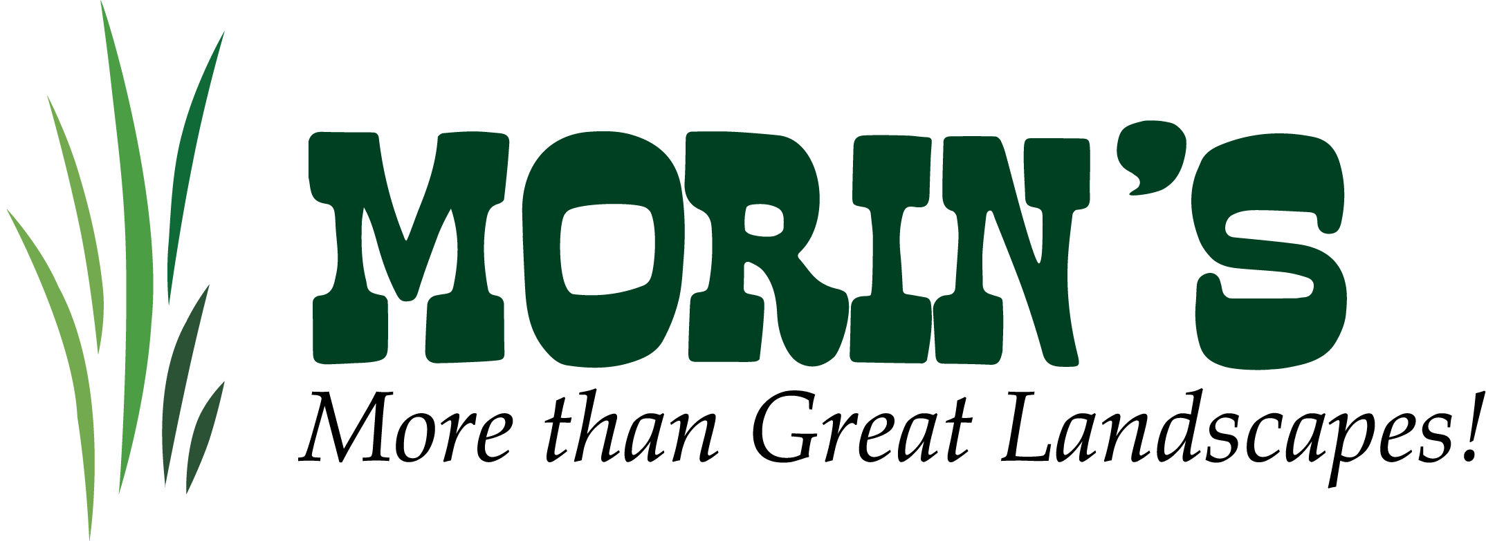 Morins_Logo_NEW_Vector.webp