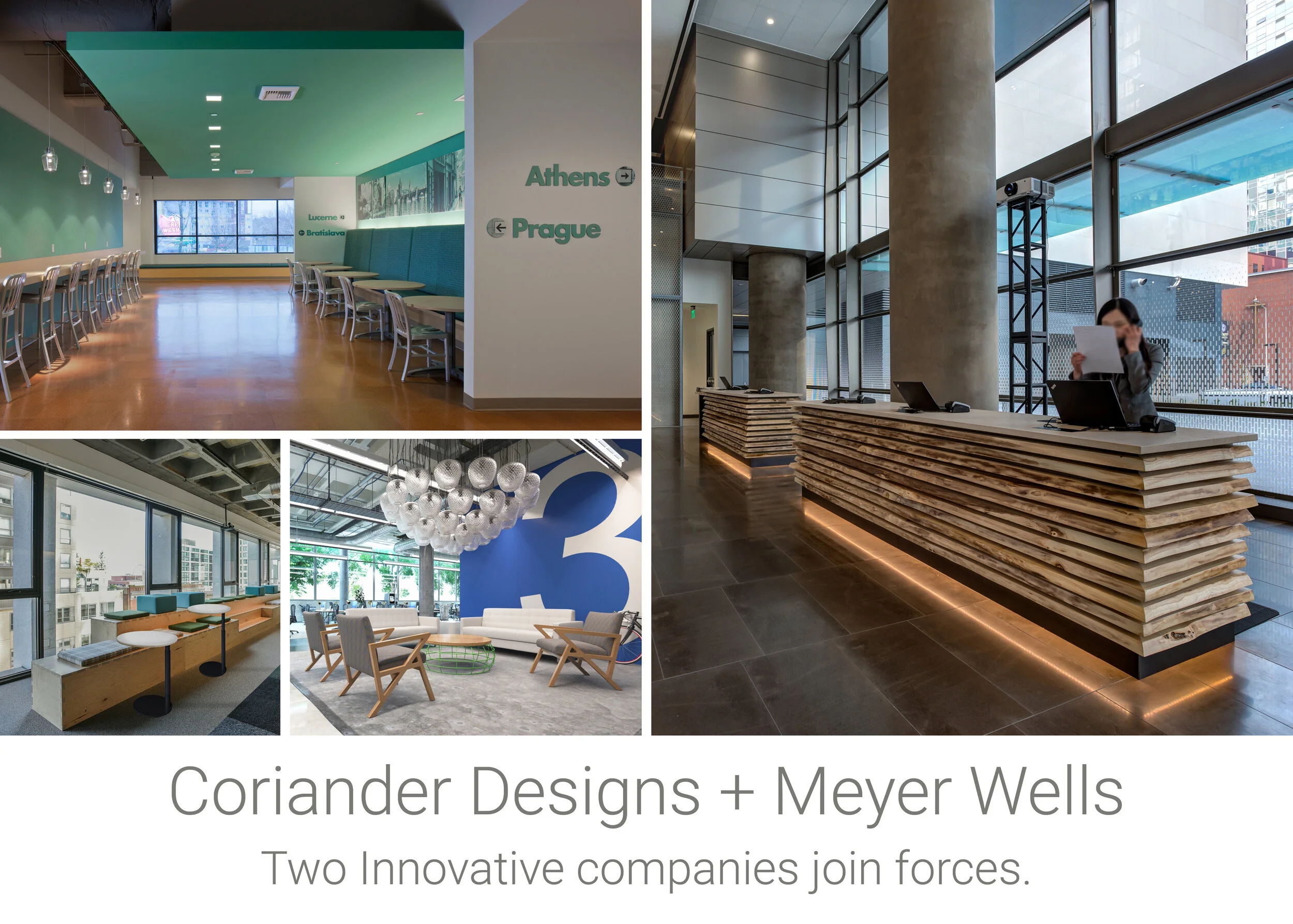 Coriander Designs Acquires Meyer Wells — Meyer Wells modern solid