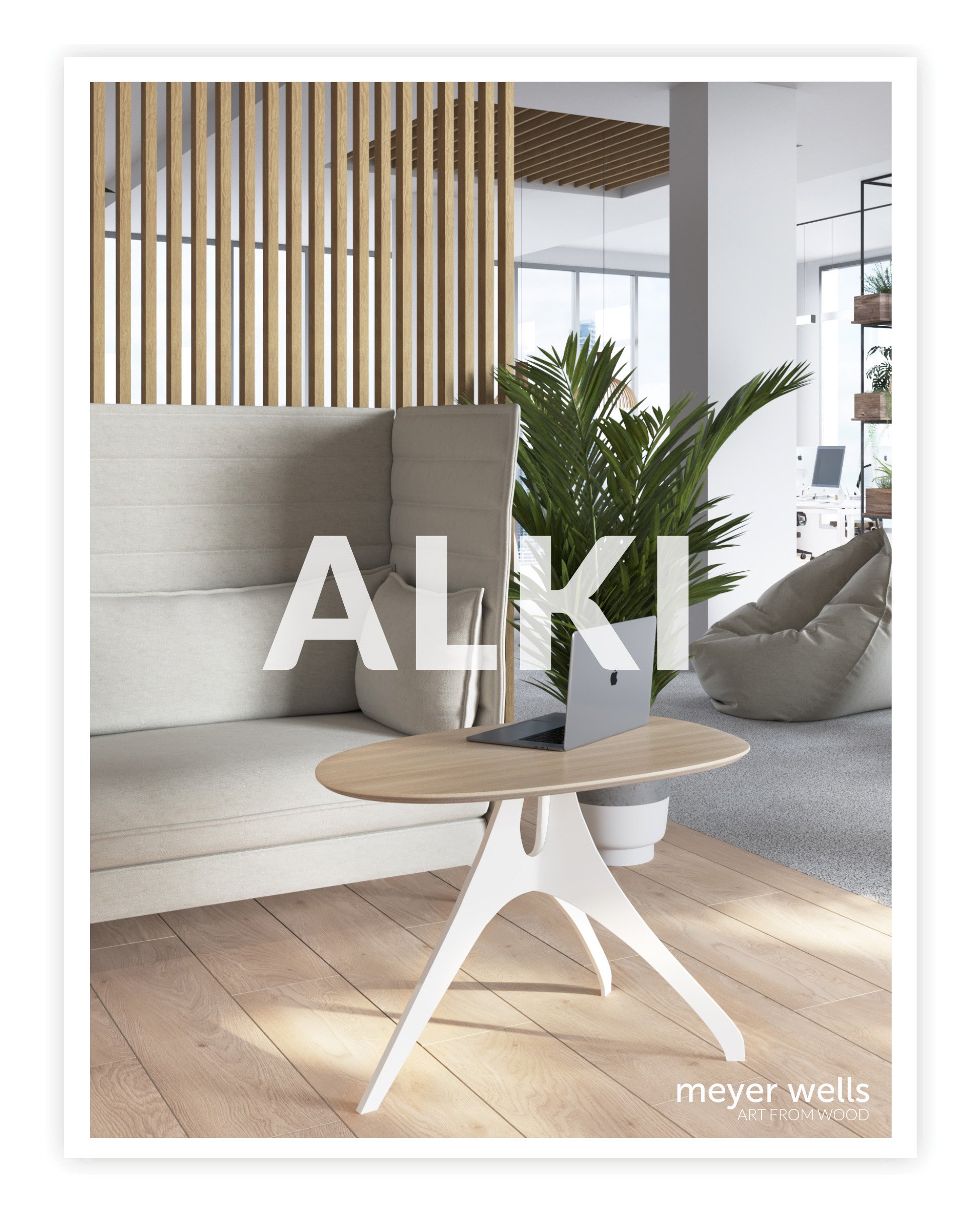 Alki Catalog Cover.jpg
