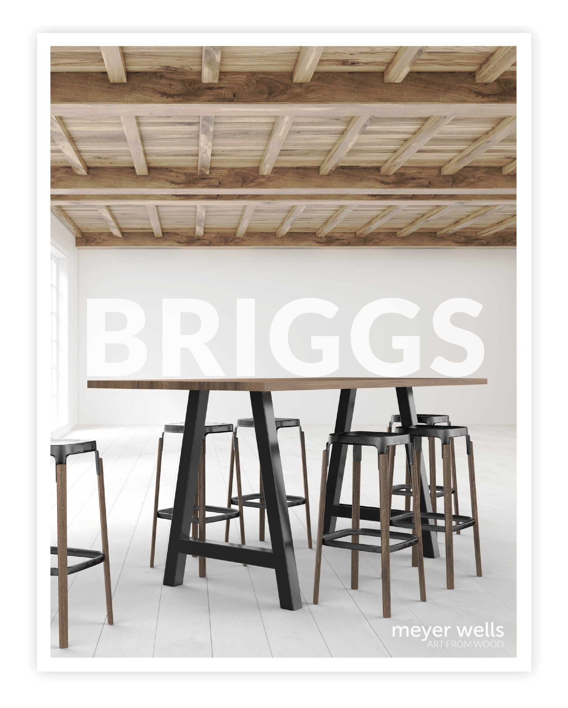 Briggs Catalog Cover.jpg