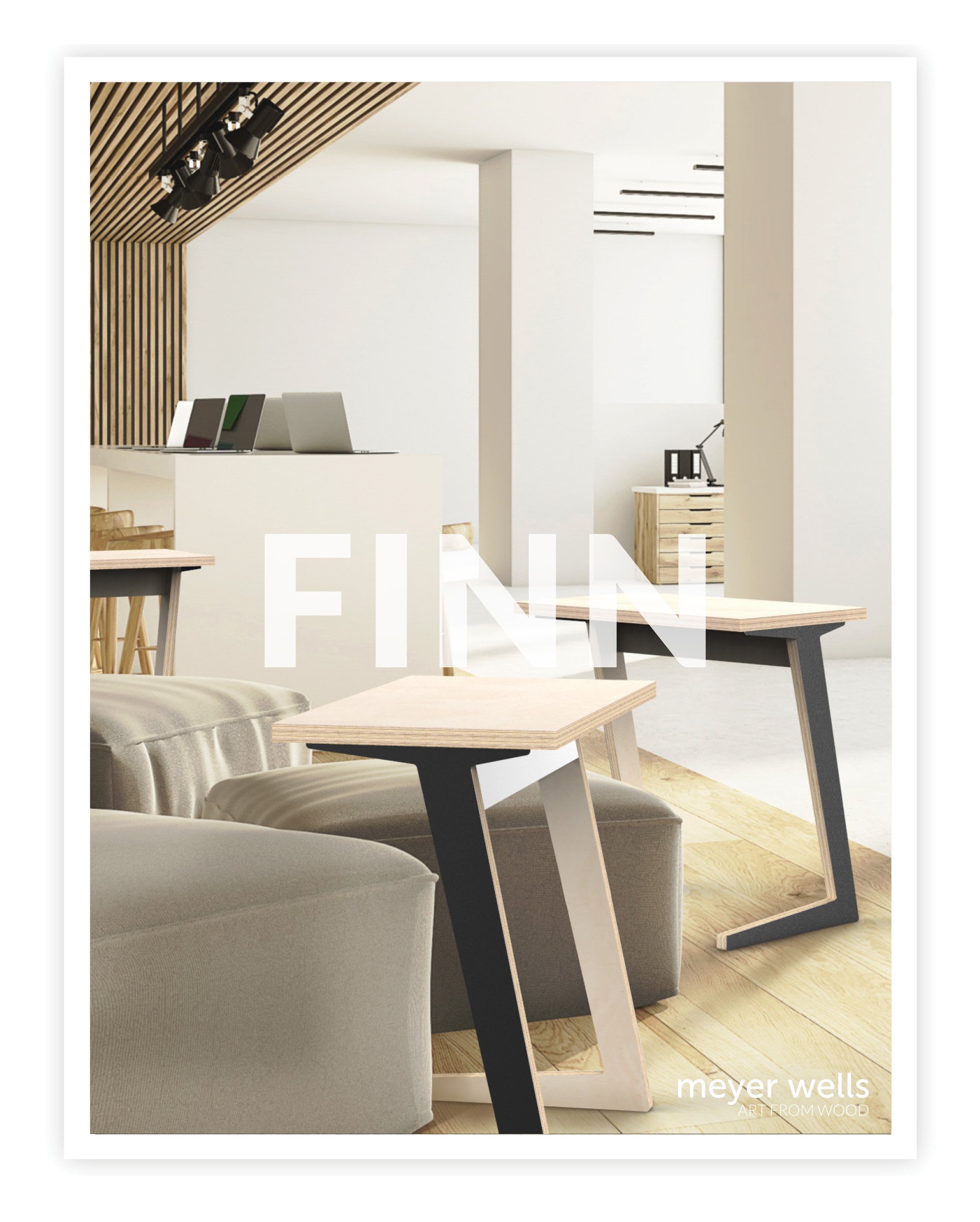 Finn Catalog Cover.jpg