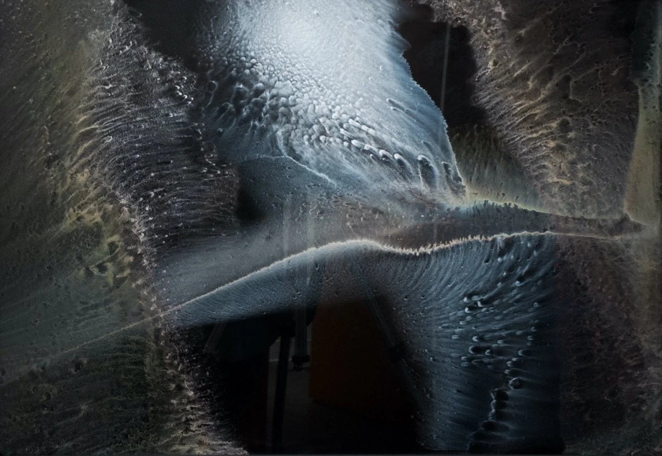 183: Four Immeasurables part 3 -- Empathy