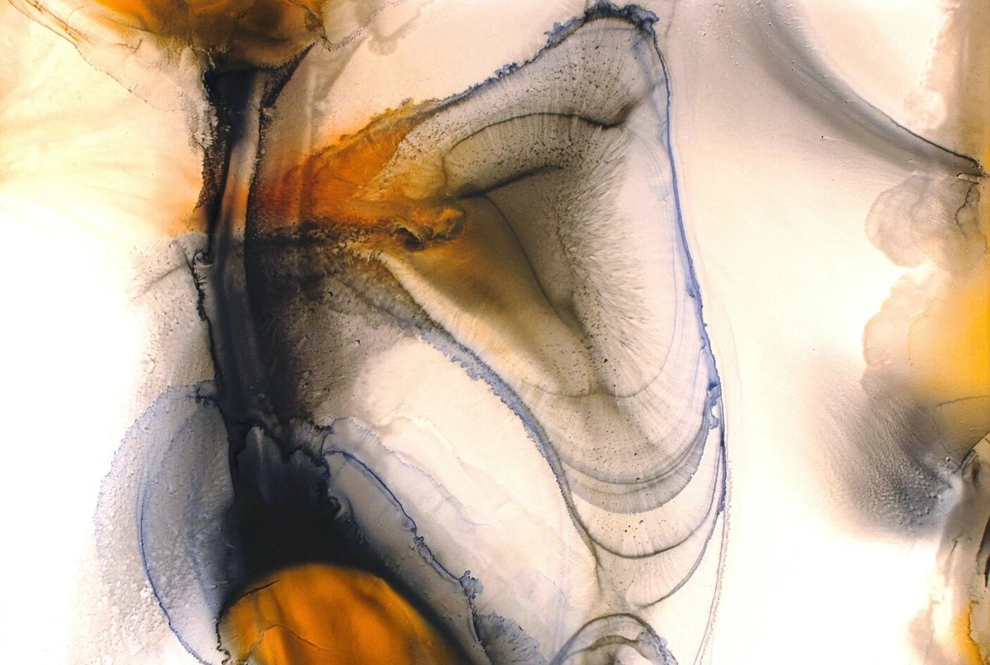 185: Metta Sutra / Loving Kindness Sutra