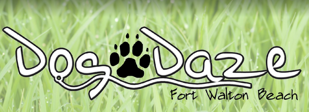 Dog Daze
