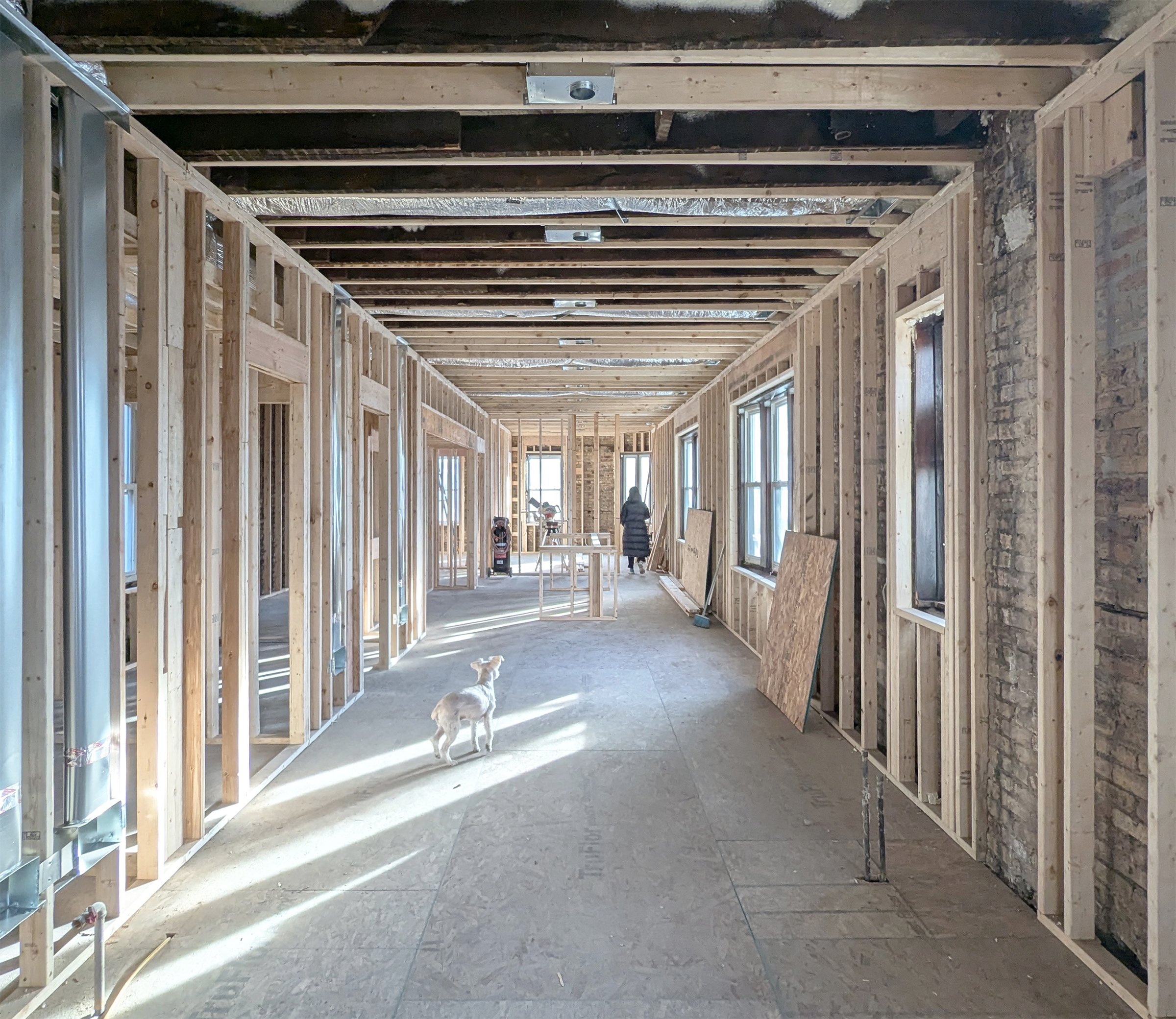 Barry House, Chicago, 2025
