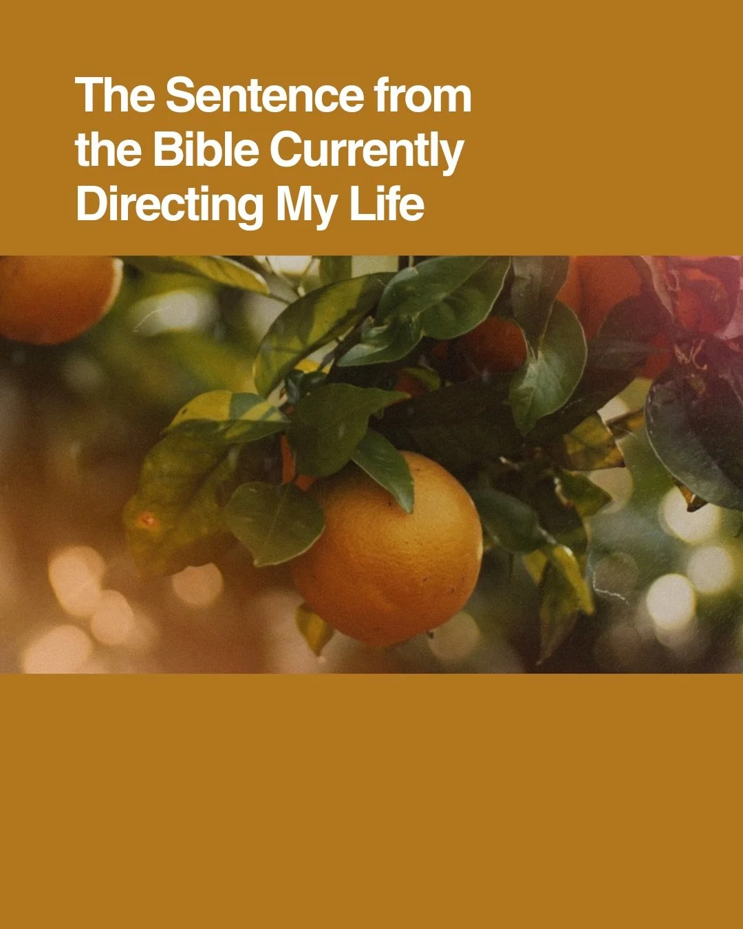Galatians 5:22-23. Juicy as fruit. Memorize these two verses!
.
At the top of the year, I made it my goal to be able to automatically rattle off the fruits of the Holy Spirit if anyone were to ask. These are the very things we should be seeing grow w