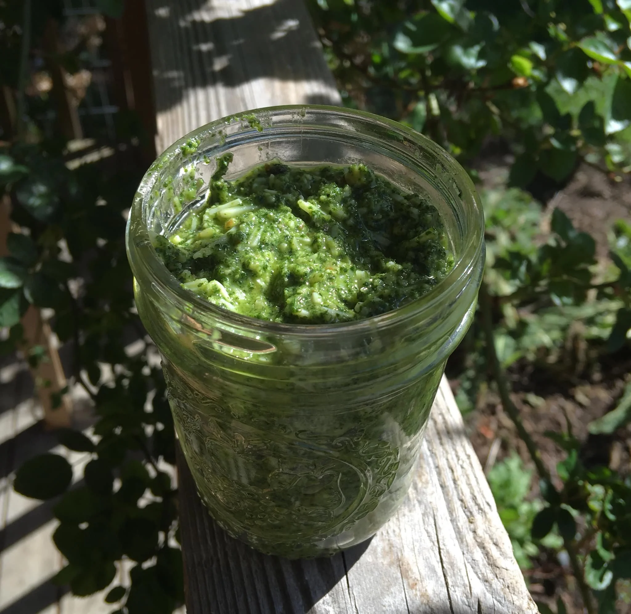 Wild Greens Pesto