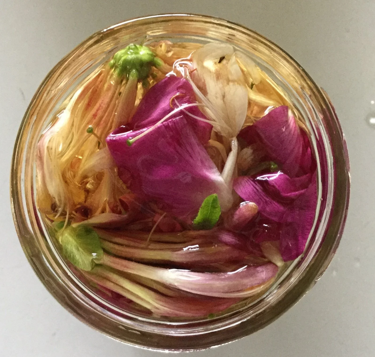 3 Herbal Beverages for Fall