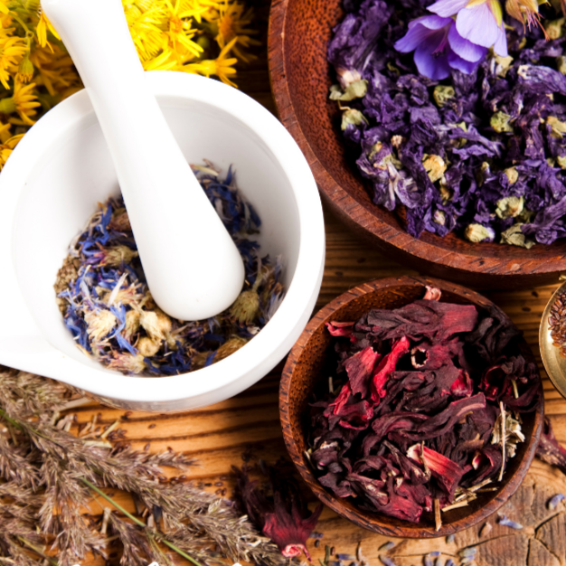 Herbal First Aid for Colds & Flu Saturday November 14, 2026