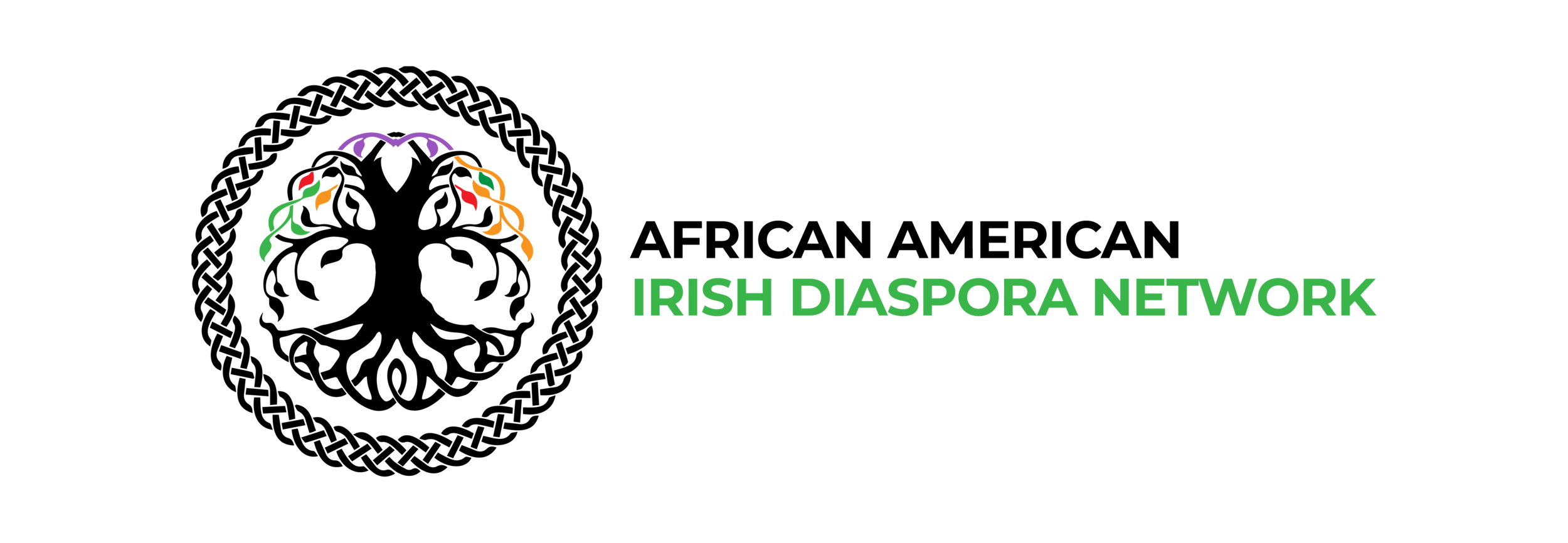 African American Irish Diaspora Network