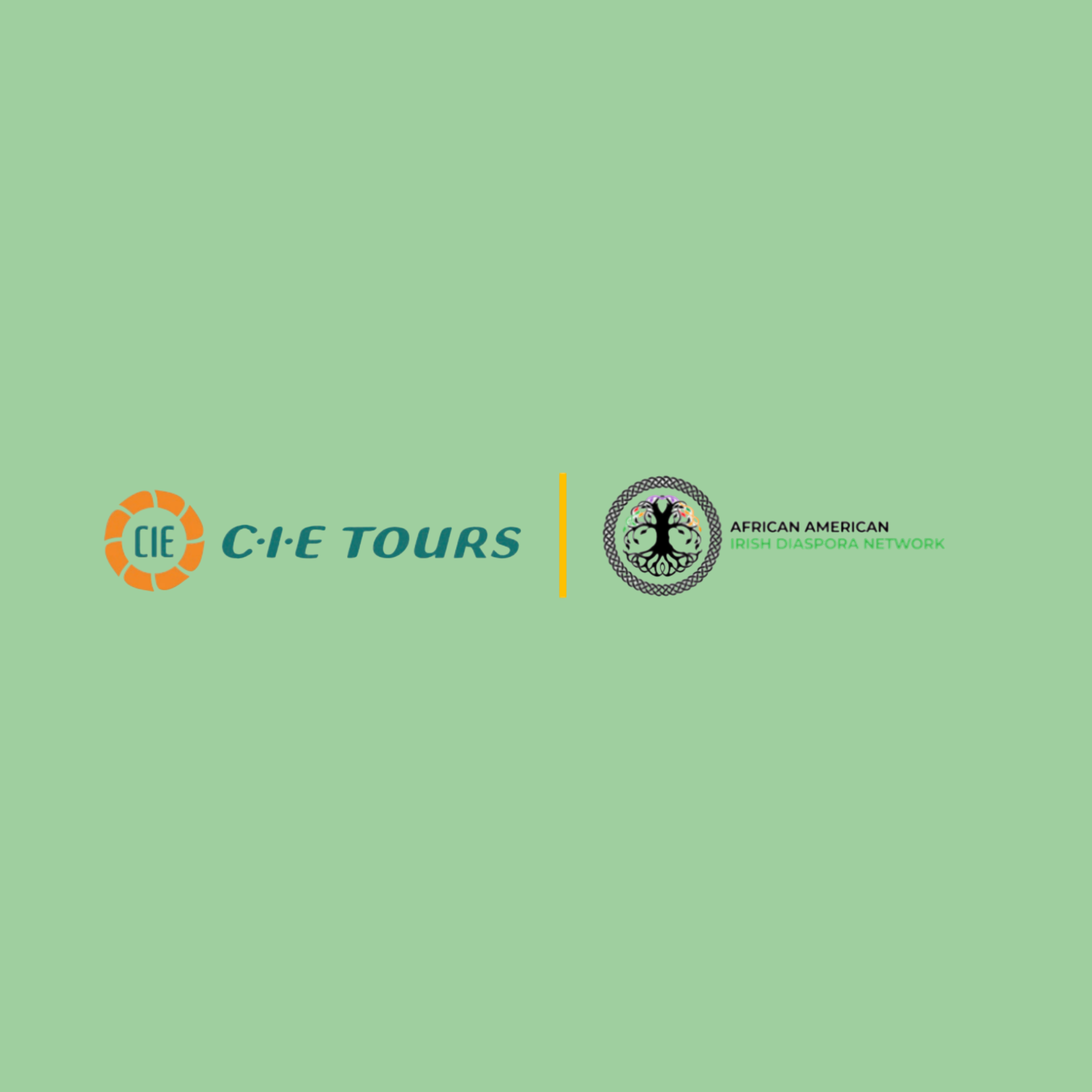 CIE Tours 2025 Summer Internship