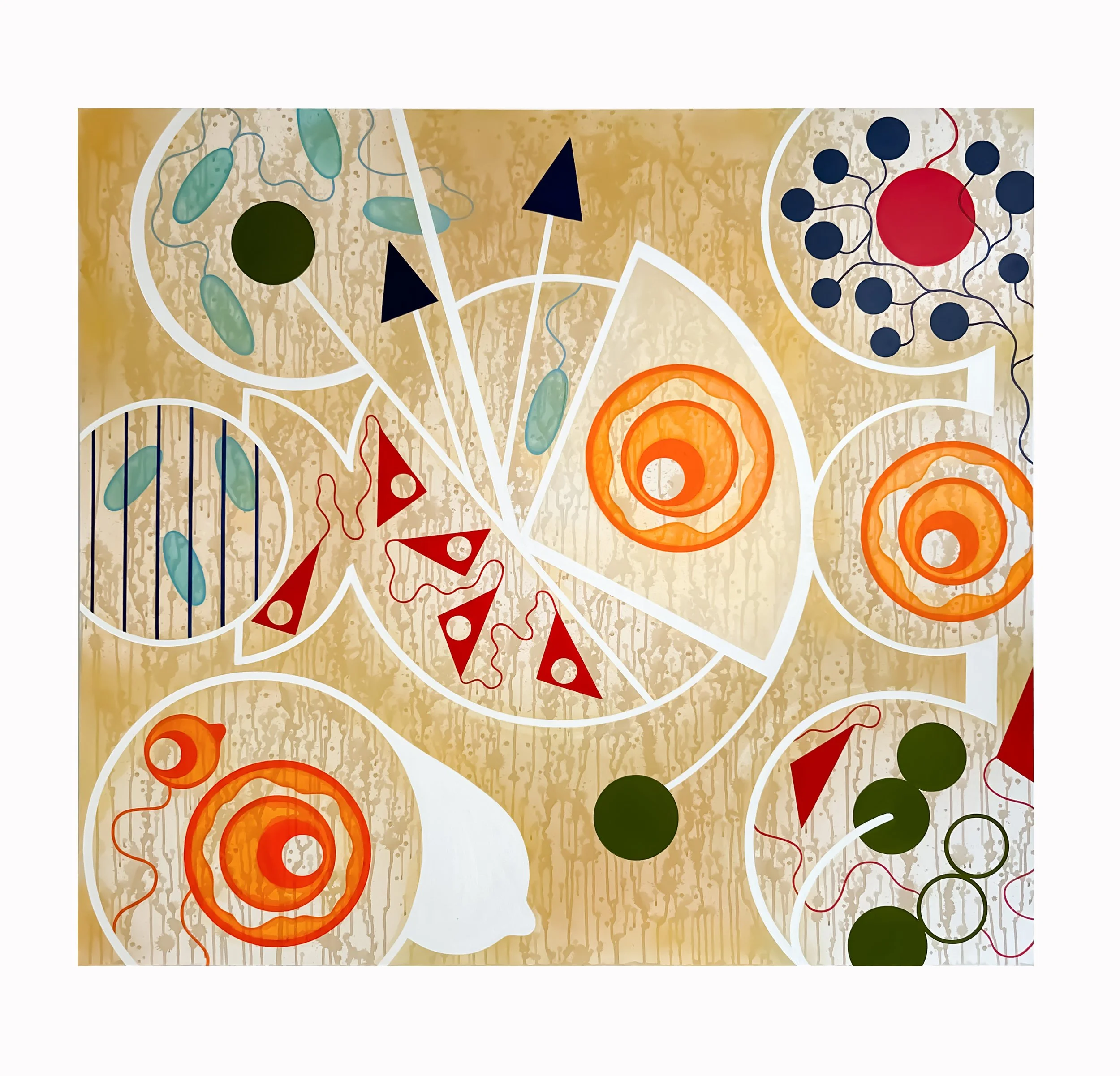 ORANGE MECANIQUE ou MÉCANIQUE DE L’ORANGE ?