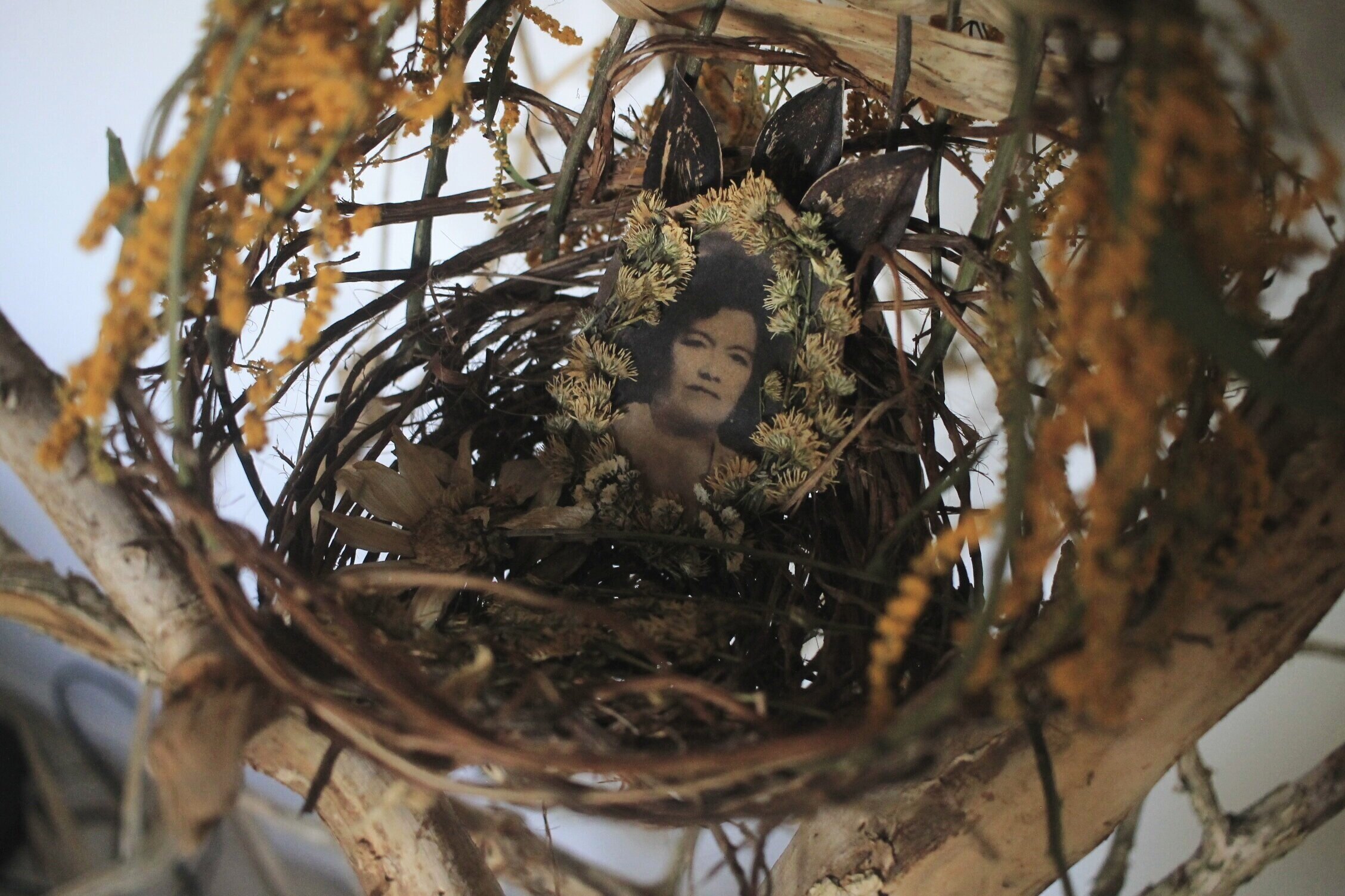    Pajarito,   2019  Handwoven nest, inkjet printed photograph of my grandmother, dried flowers from her funeral, seedpods, thread 