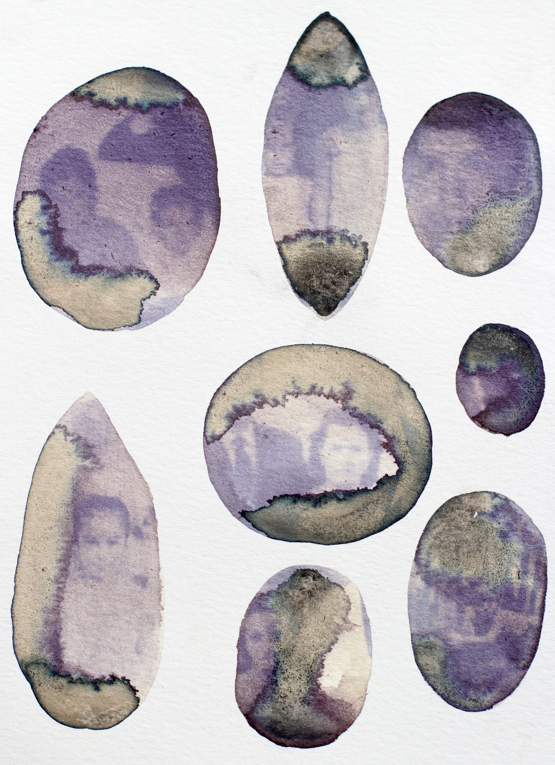    Faint Faces,    2023   Butterfly pea flower anthotype, rust, water, alcohol, vinegar and oak galls 