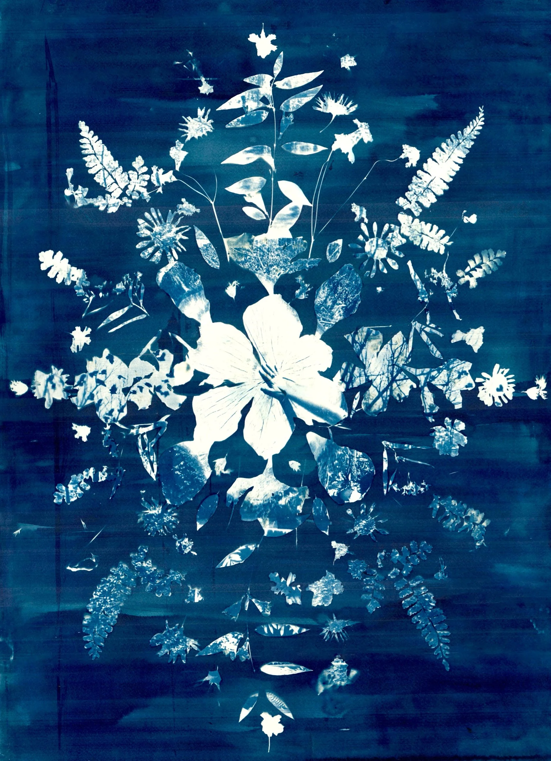 Sunlit Remnants , 2025 Cyanotype on watercolor paper