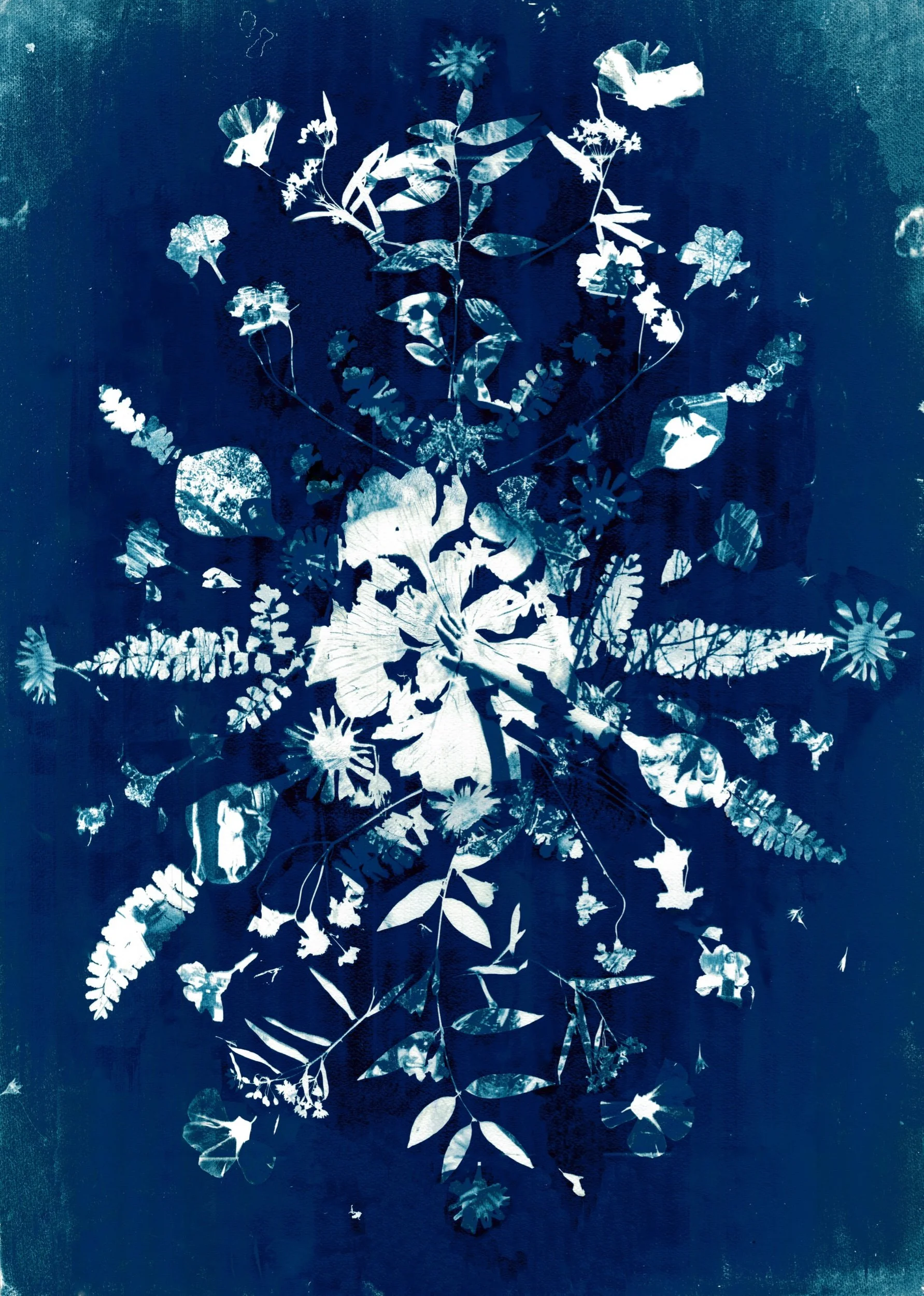 33090E33-678C-47D3-8E8D-7ADA7477A741.jpeg