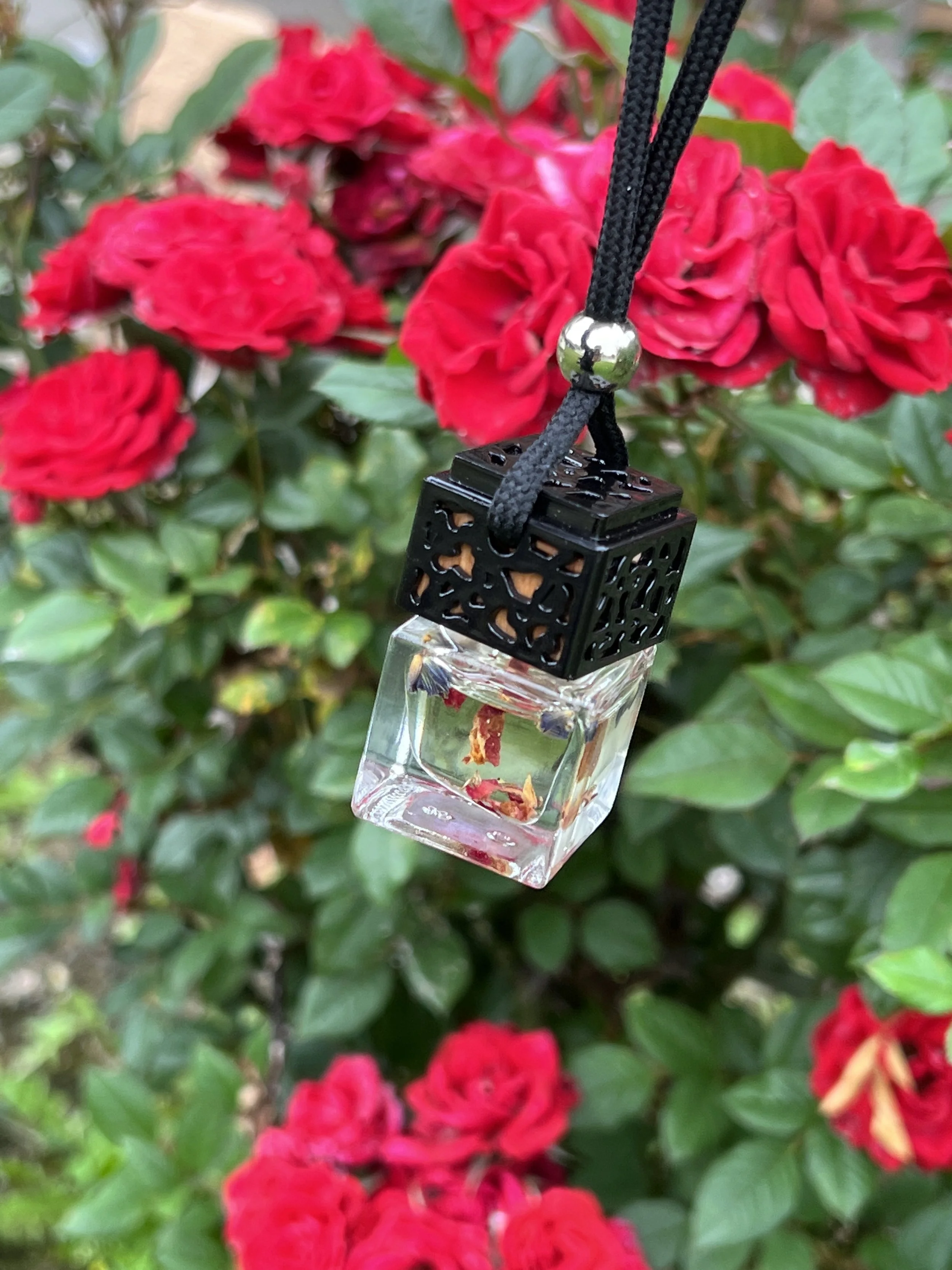 Hanging Car Diffuser