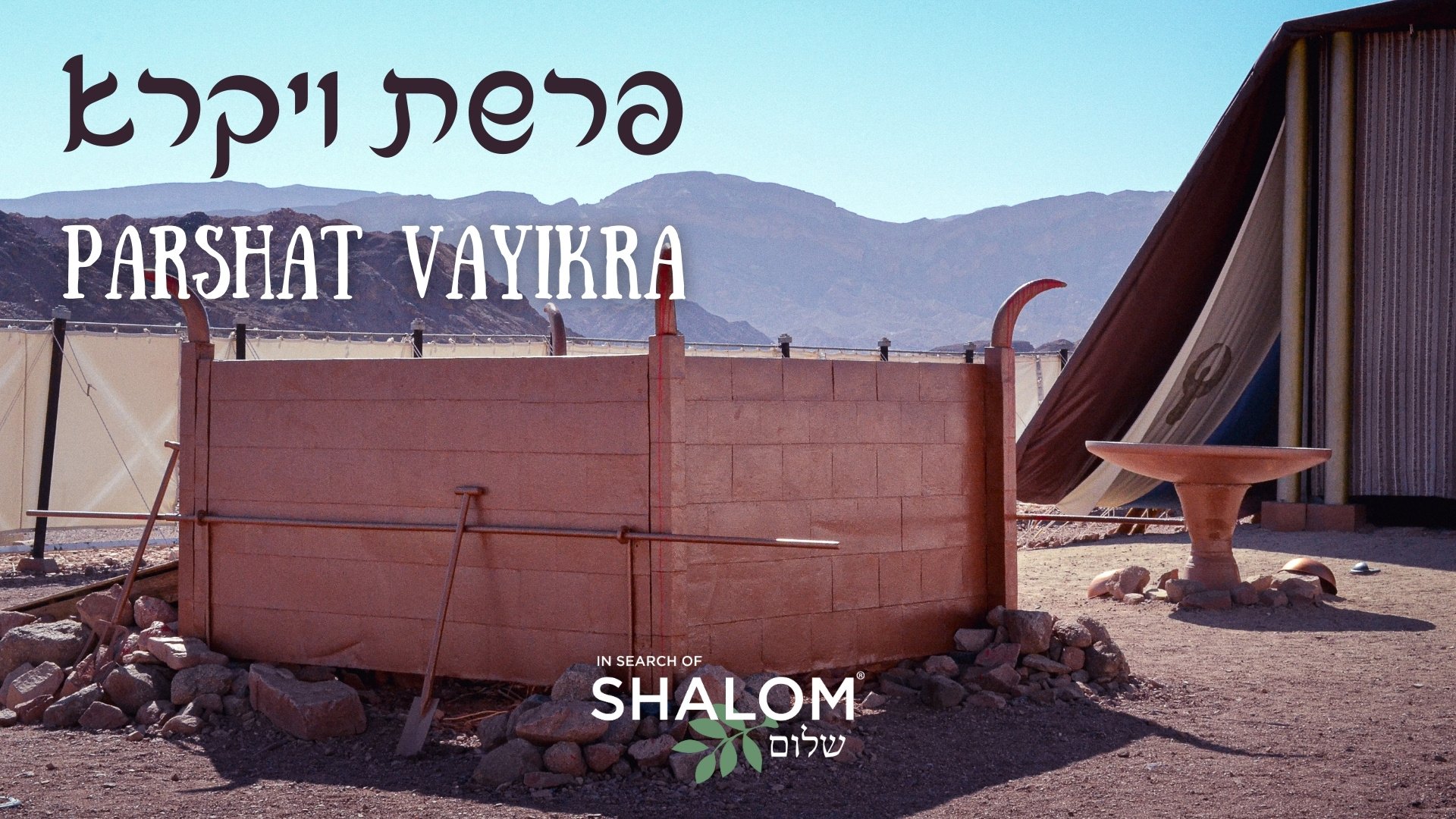 #23 — Parshat Vayikra