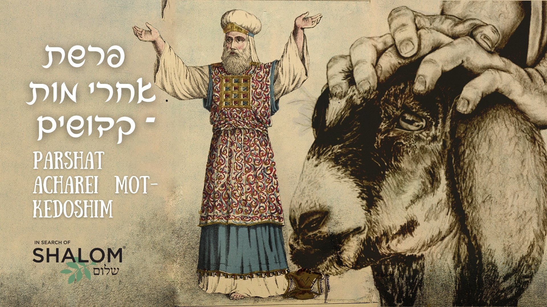 #27 — Parshat Acharei Mot-Kedoshim