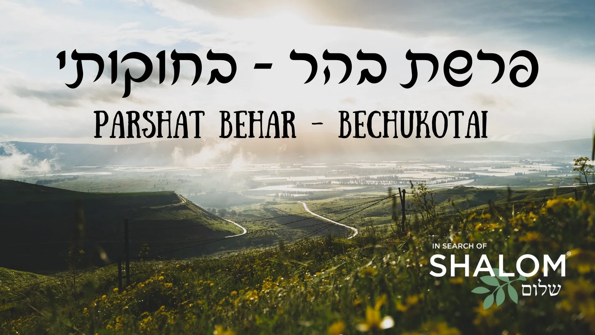 #29 — Parshat Behar-Bechukotai