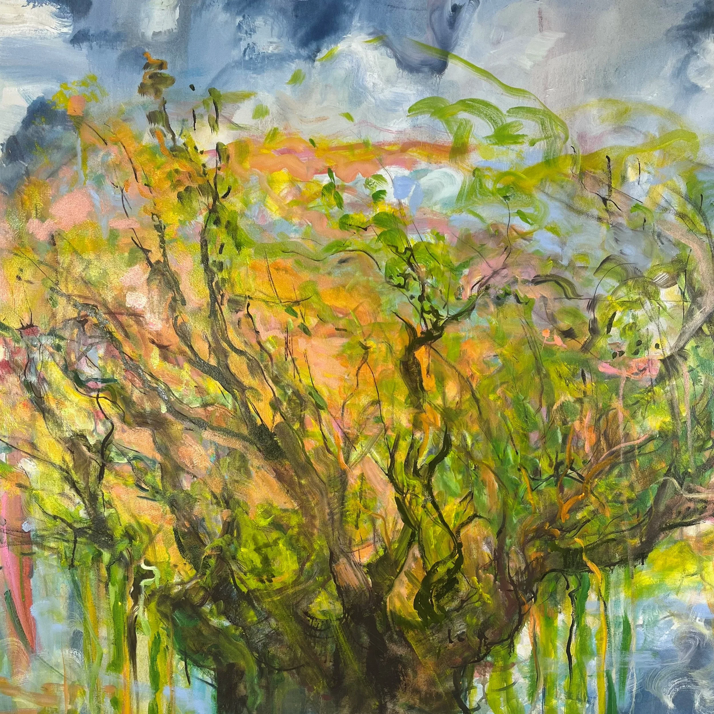 Dawn on the Tree of Life