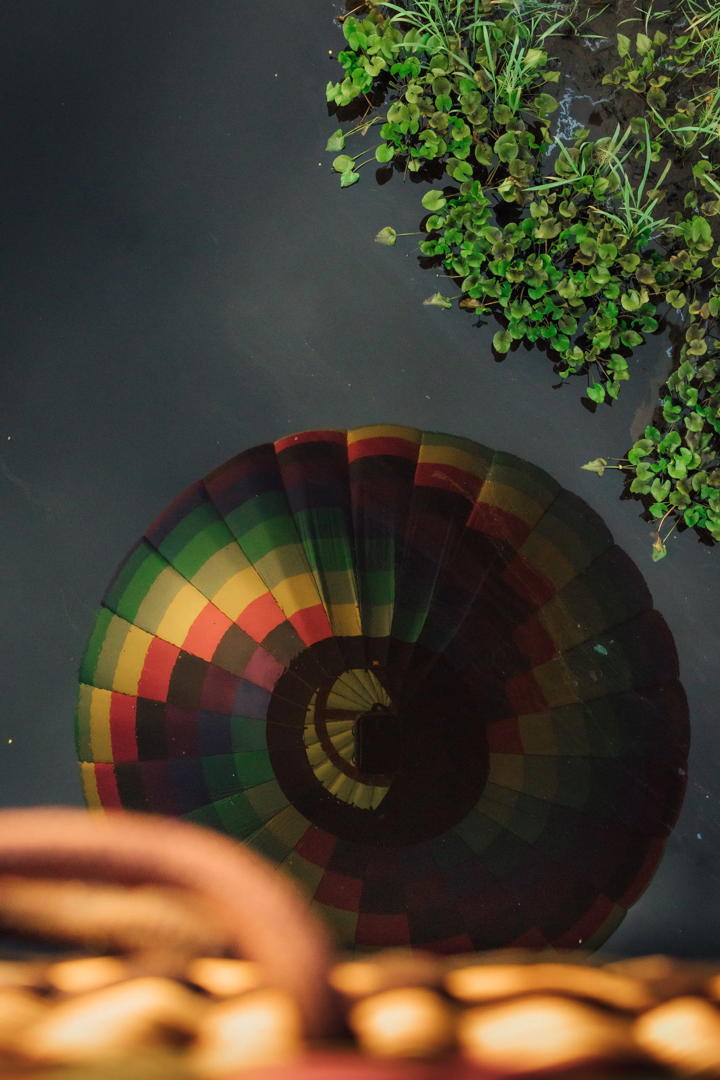 EOS_5572.JPG