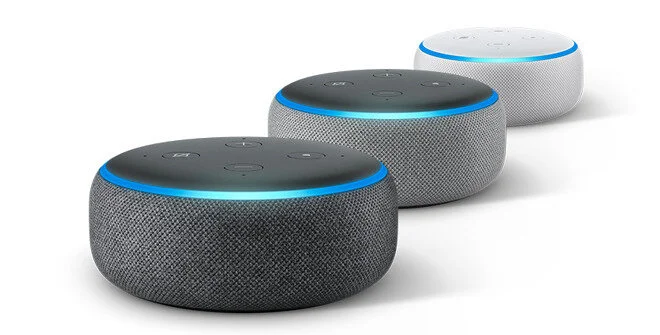 alexa and google home together