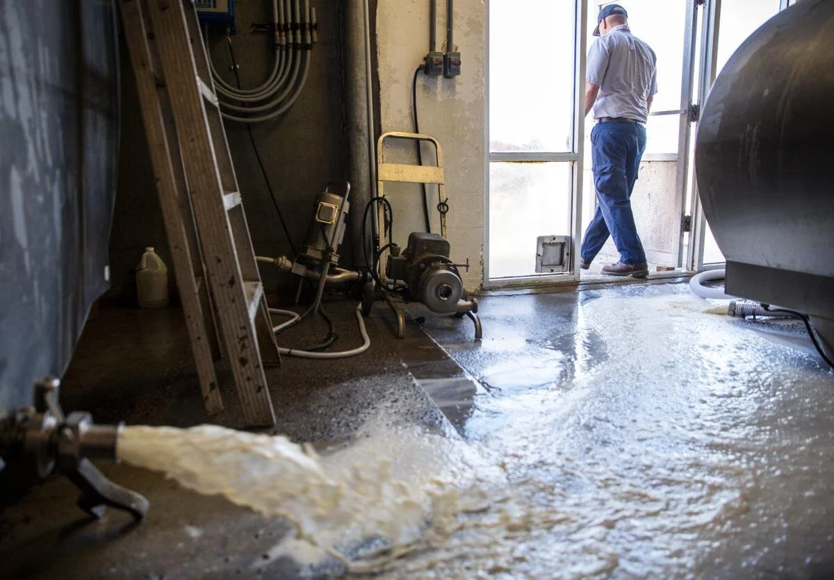 Milking It for All It's Worth: The Fall of the Dairy Industry