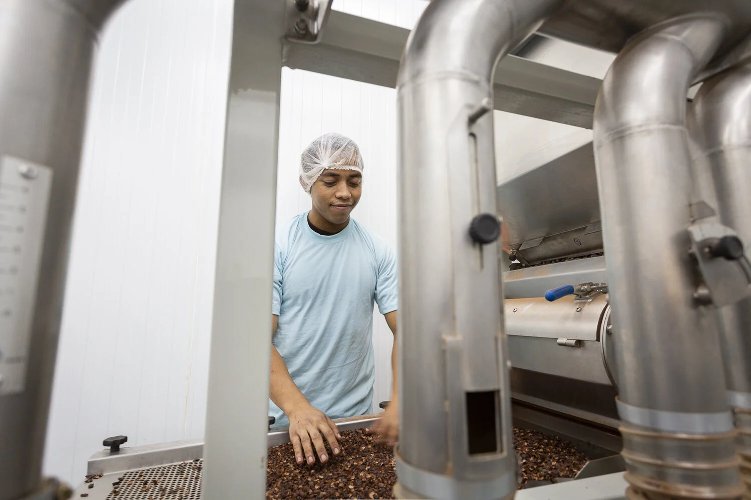 M4_Roasted beans being winnowed.jpg