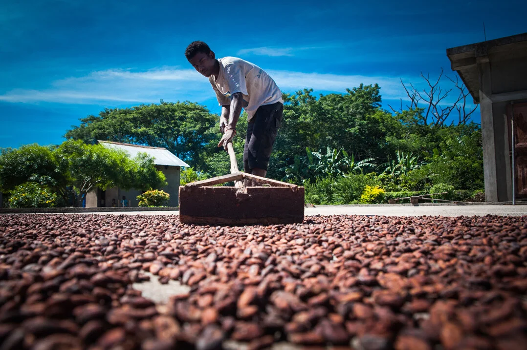 4F_Drying_our-heirloom-beans-on-Lalatina's-farm.jpg