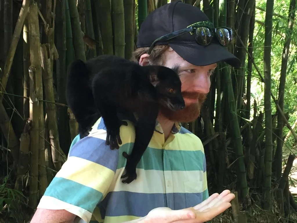 C5_Lemur and Musso.jpeg