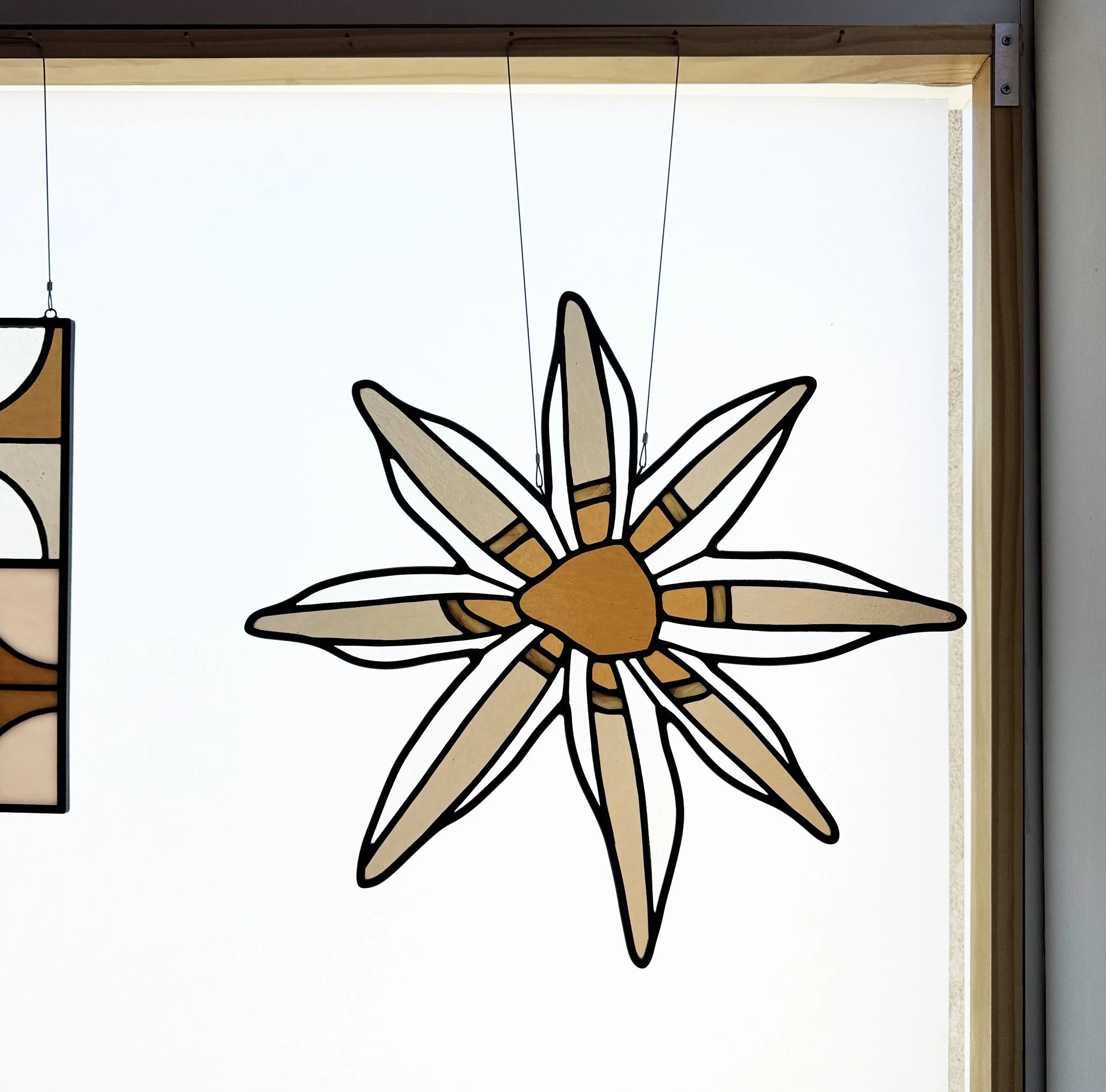 star anise