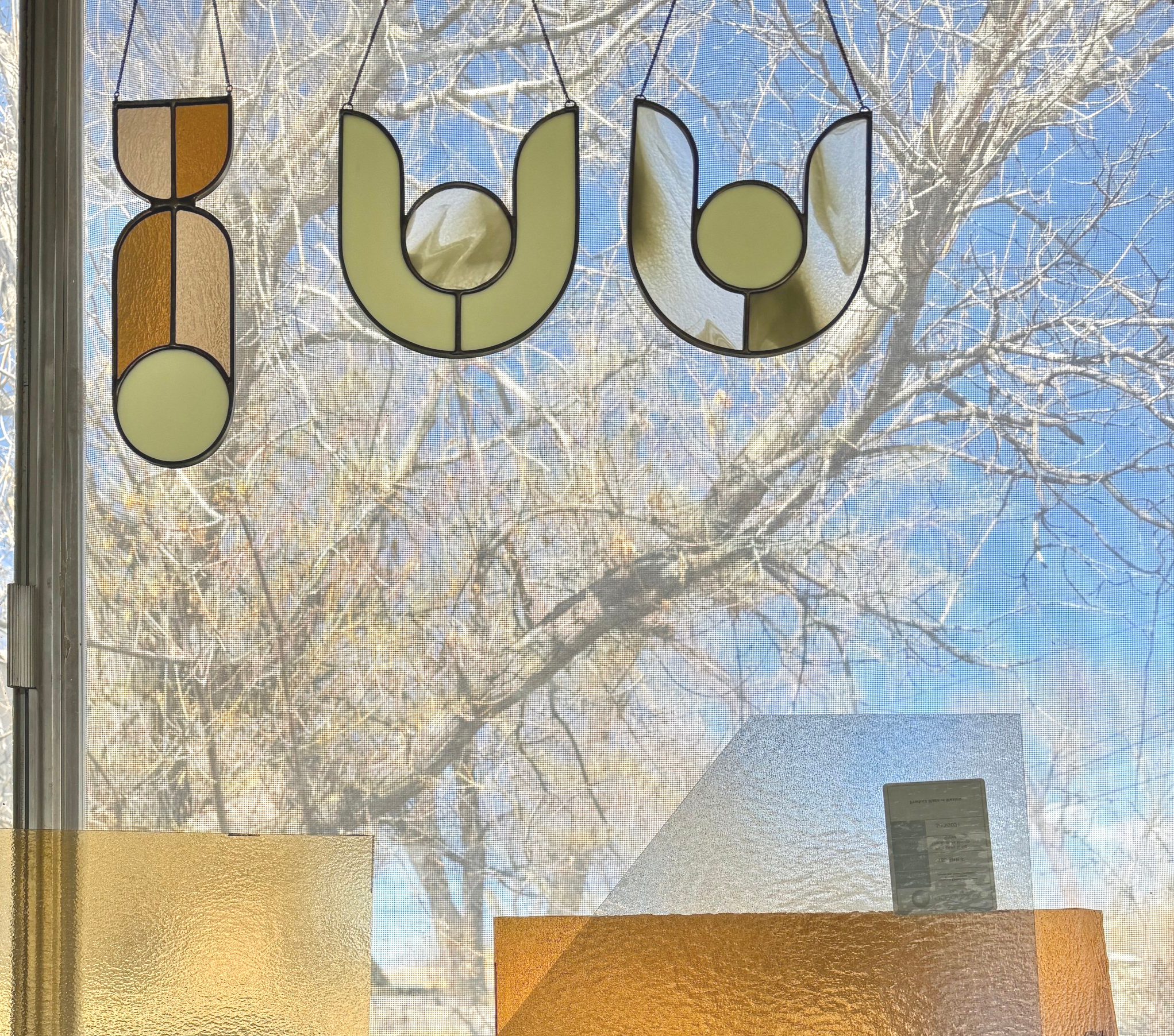IMG_1737.png