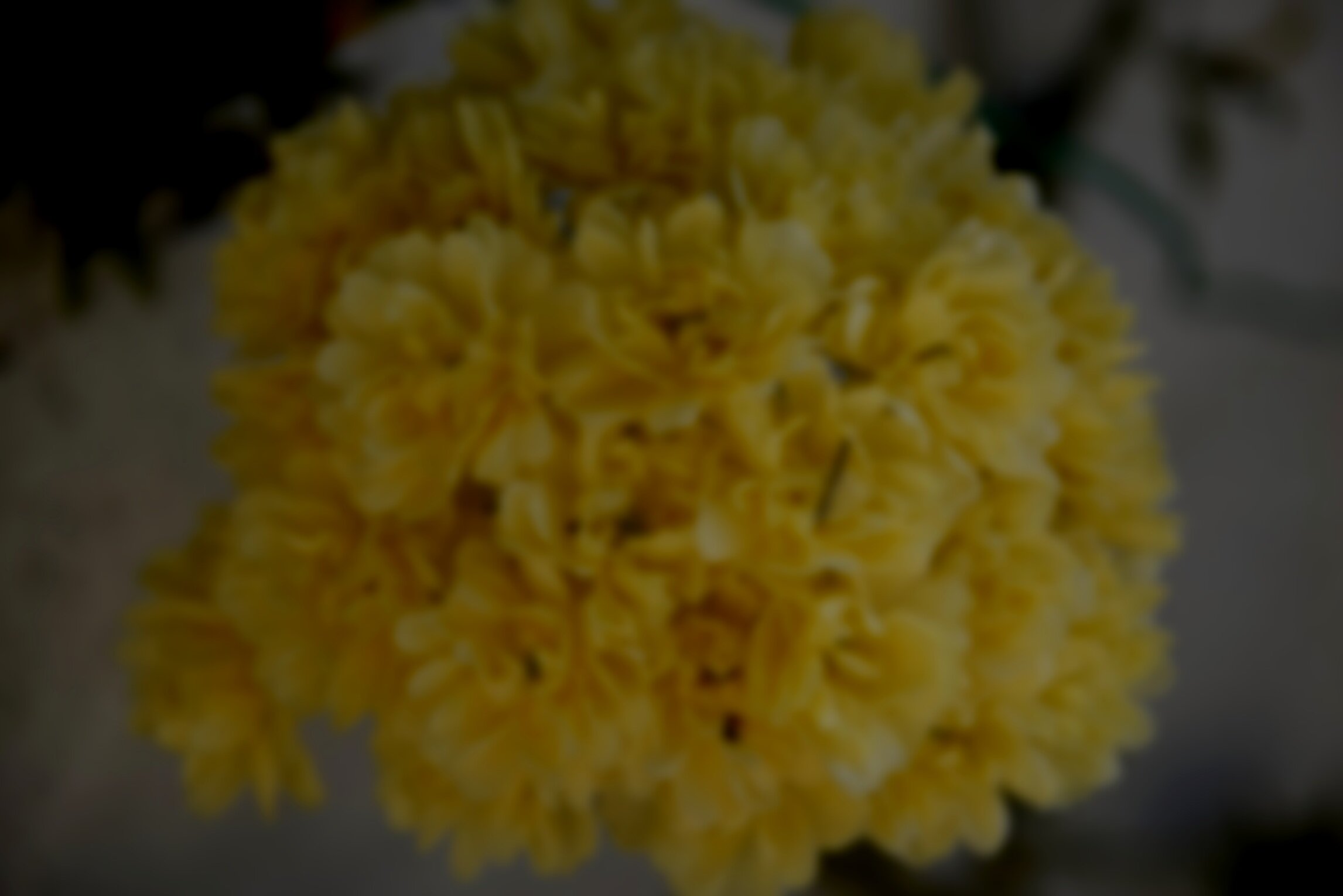 15BC418C-8B91-4C03-B2AC-C8E7D991B16F.jpg