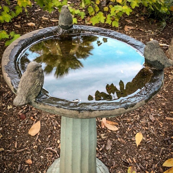 Water Features are our favourite specialty. 💦💧💦💧💦💧💦💧⁠
.⁠
.⁠
.⁠
⁠
#landscape #landscapeconstruction #berkeley #eastbay #california #oakland #albany #garden #design #bayarea #architecture #landscaping #gardendesign #outdoorliving #landscapearch