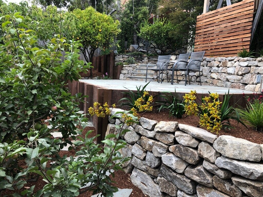 Our team of artisan woodworkers will also construct all the wood structures for your project ensuring quality and consistency throughout. ⁠
.⁠
.⁠
.⁠
#landscape #landscapeconstruction #berkeley #eastbay #california #oakland #albany #garden #design #ba