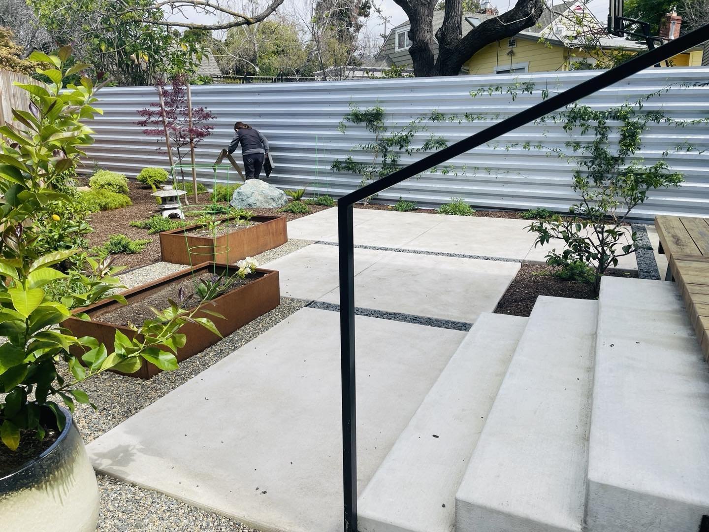 Simplicity by @mulleindesigns at our client&rsquo;s cute #Berkeley backyard.