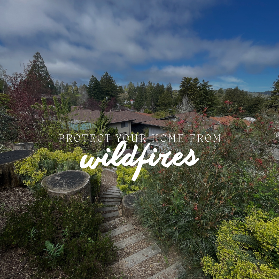 Reducing Wildfire Risk in Berkeley Hills with Fire-Resistant Landscaping
