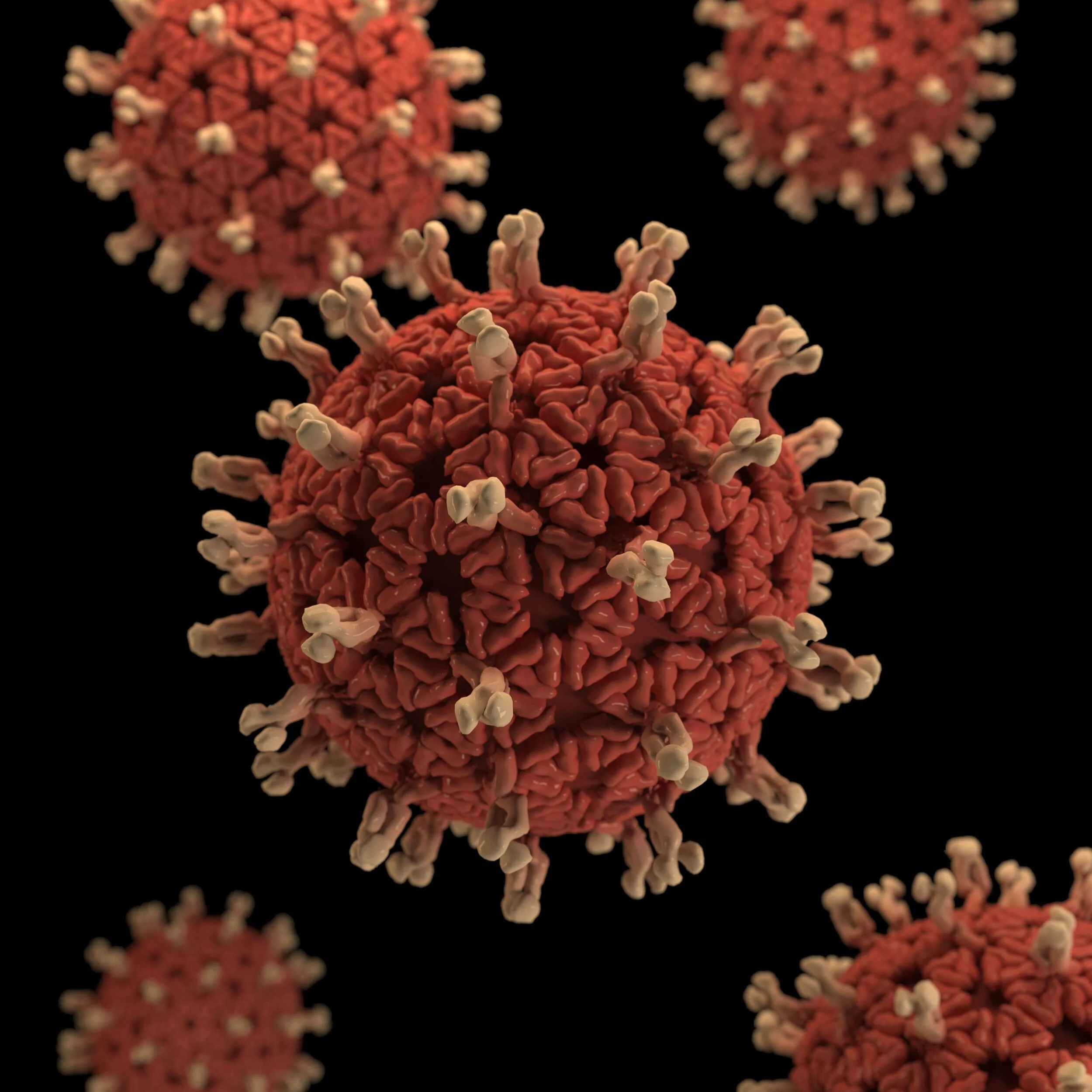 Tips For Surviving Corona Quarantine