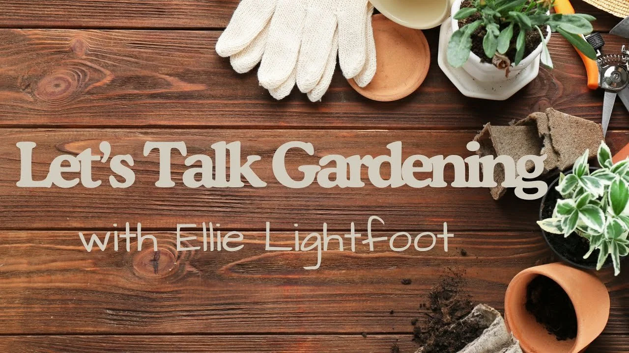 Let's Talk Gardening.jpg
