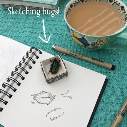 Process-Sketching-Bugs.jpg