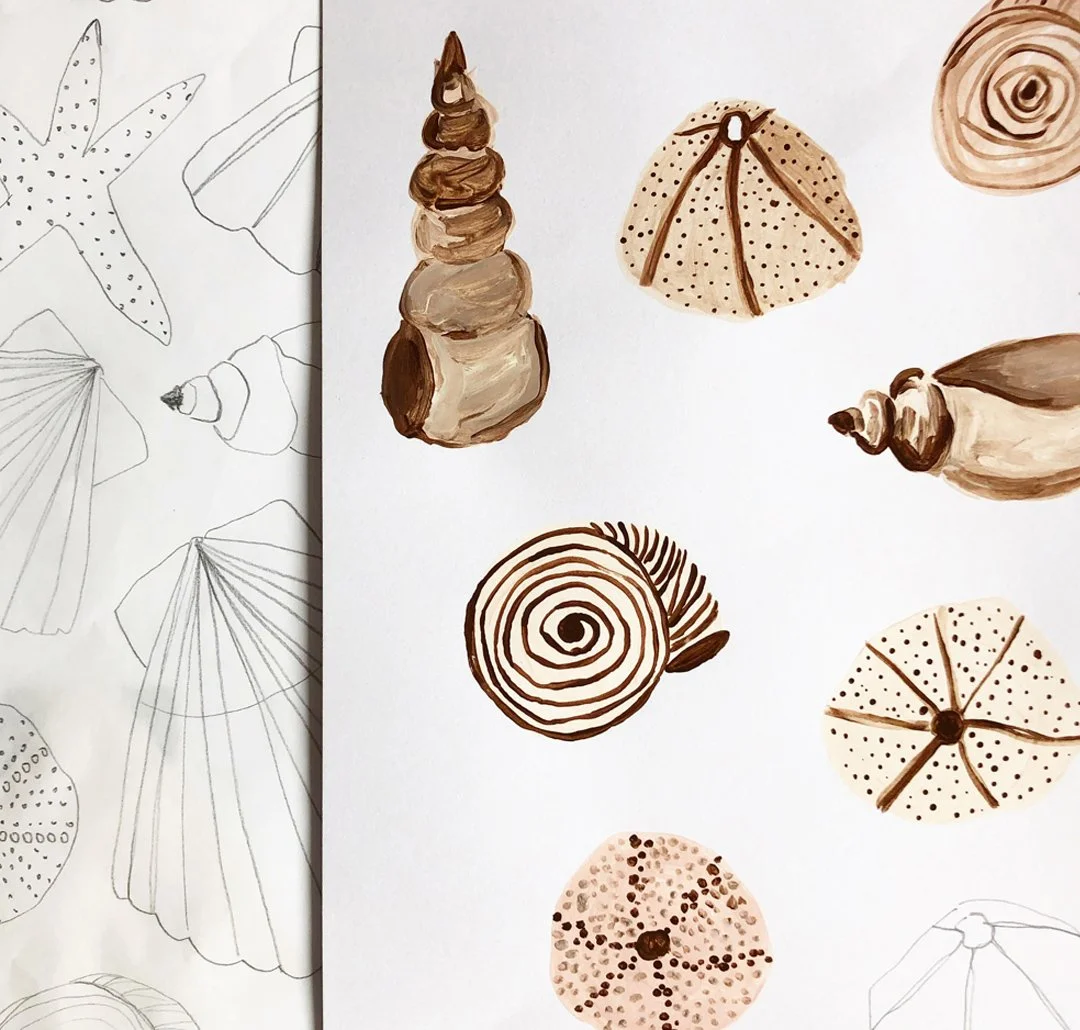 Chloe Hall Seashells.jpg