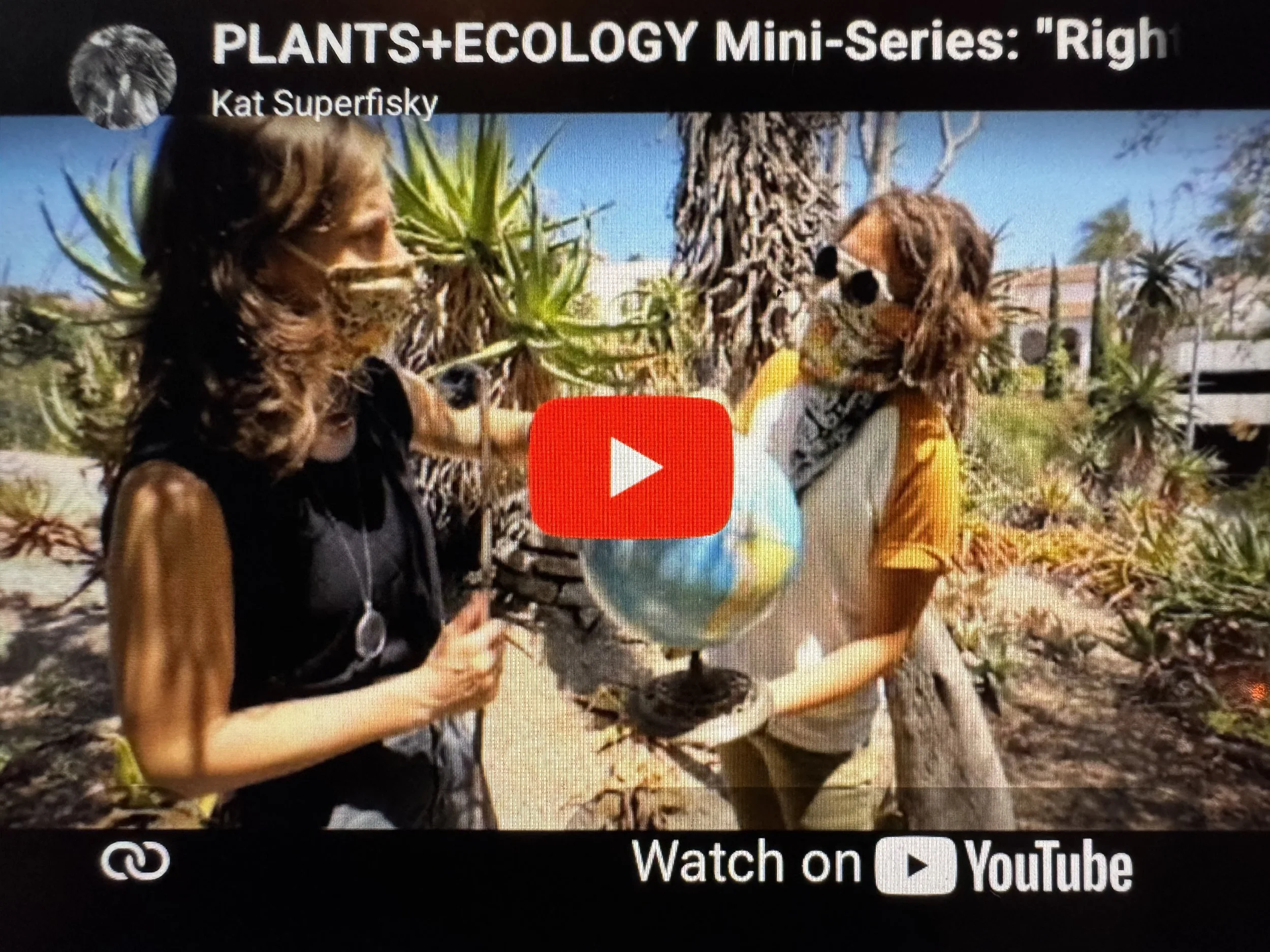PLANTS + ECOLOGY SERIES