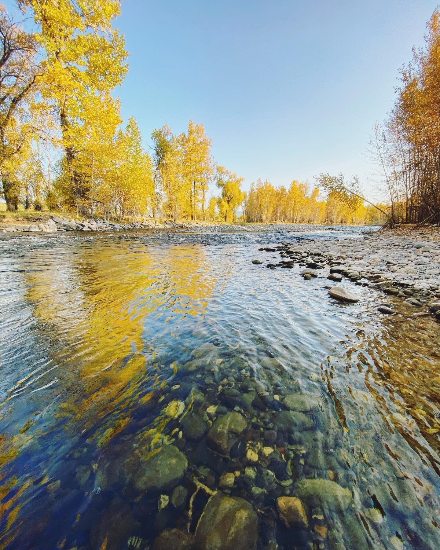 &bull;Cottonwood continues modern-day David versus Goliath battle to protect the fabled Gallatin River&bull;
&bull;
Last week, Cottonwood Environmental, Montana Rivers, and the Gallatin Wildlife Association filed a motion asking the federal court to 