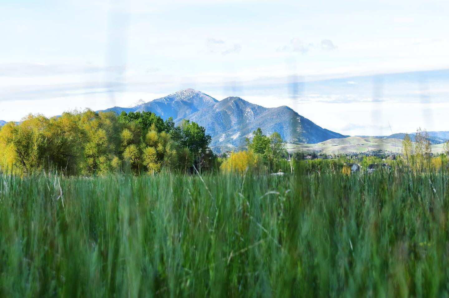 We don&rsquo;t know about you all, but we are definitely ready for some Bozeman Spring scenes like this one!
&bull;
What do you love most about springtime in Montana or wherever in the world this post finds you?
&bull;
Comment below because we&rsquo;
