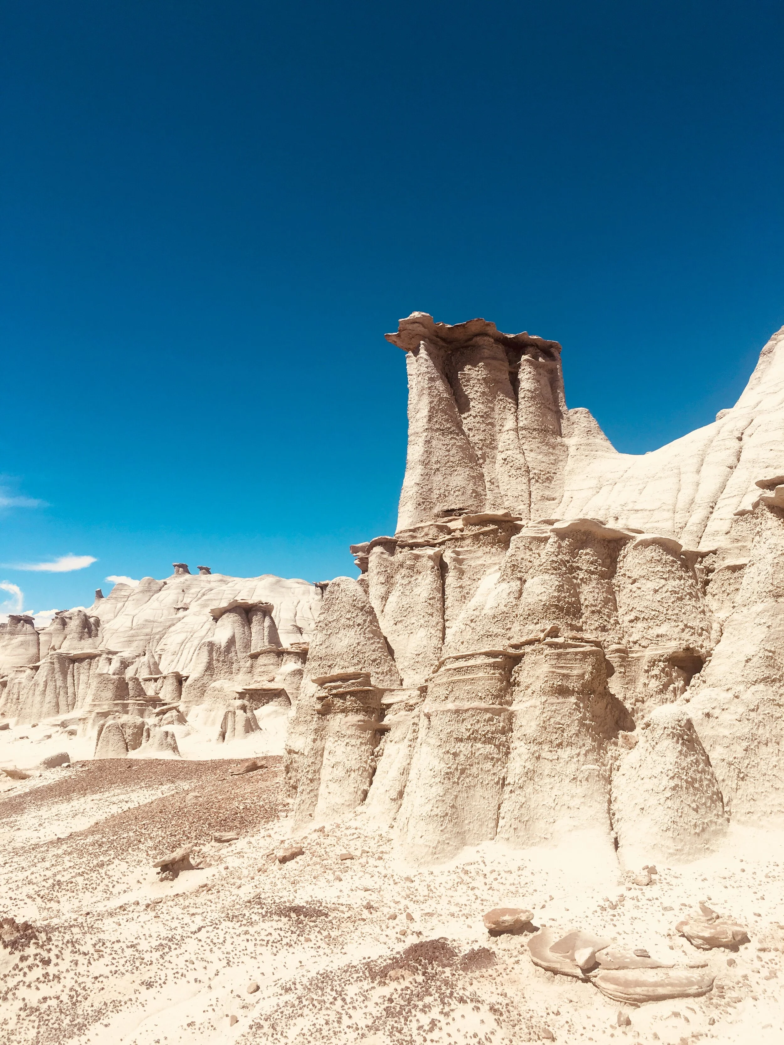 Bisti Badlands