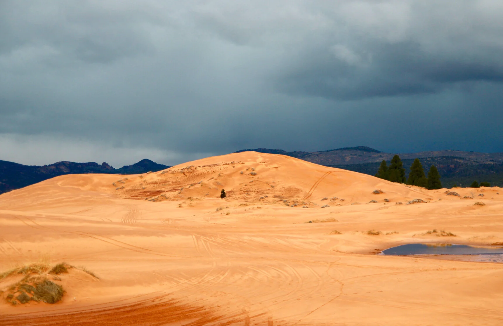 Coral Pink Sand Dunes SP