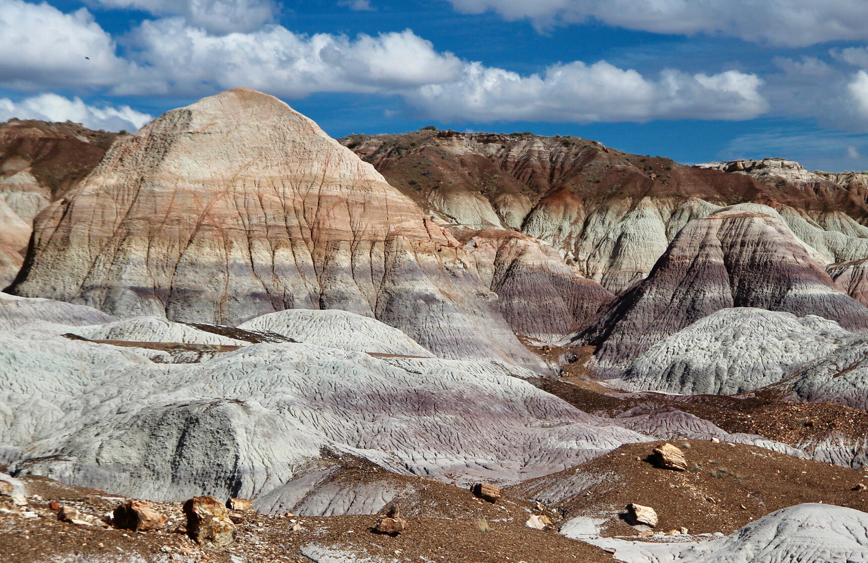 Petrified Forest NP